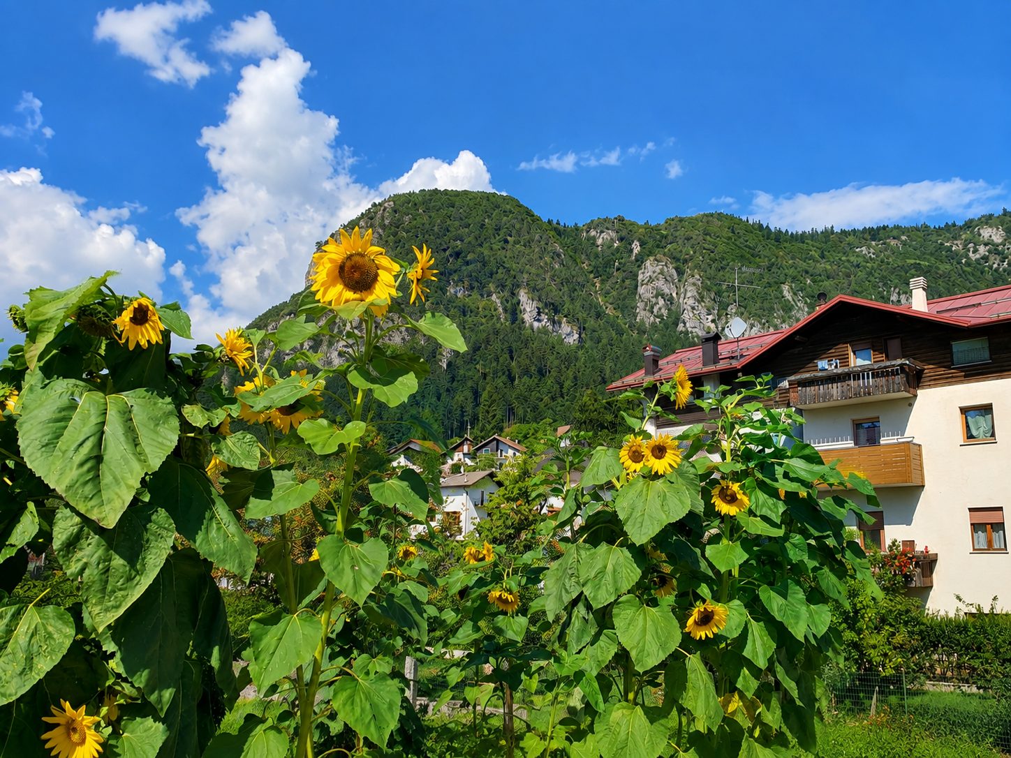 Fai della Paganella